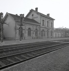 Anseremme - Z10278L (11).jpg